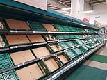 UK faces being crippled by ‘perfect storm’ of Covid, Brexit and soaring gas prices