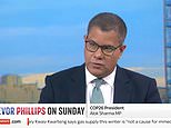 Alok Sharma insists there is ‘no immediate concern’ about gas supplies amid meat shortage fears