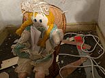 New homeowner is shocked to find a rag doll boarded up in a wall saying she killed a family