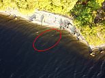 ‘Loch Ness monster’ is caught in 4k video by canoeist’s drone