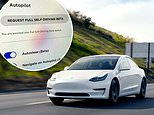 Tesla owners choose ‘full self-driving’ software meaning thousands can soon hit the road