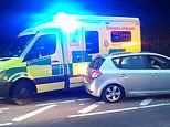 Ambulance crashes into car waiting for fuel – as MORE petrol stations close