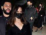 Angelina Jolie and The Weeknd fuel dating rumors