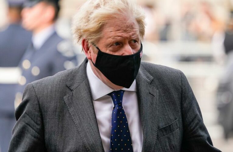 UK’s Johnson to urge climate action over 4-day trip to US