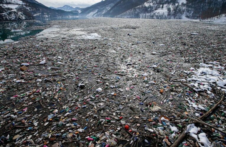 Countries take steps toward curbing plastic waste in oceans