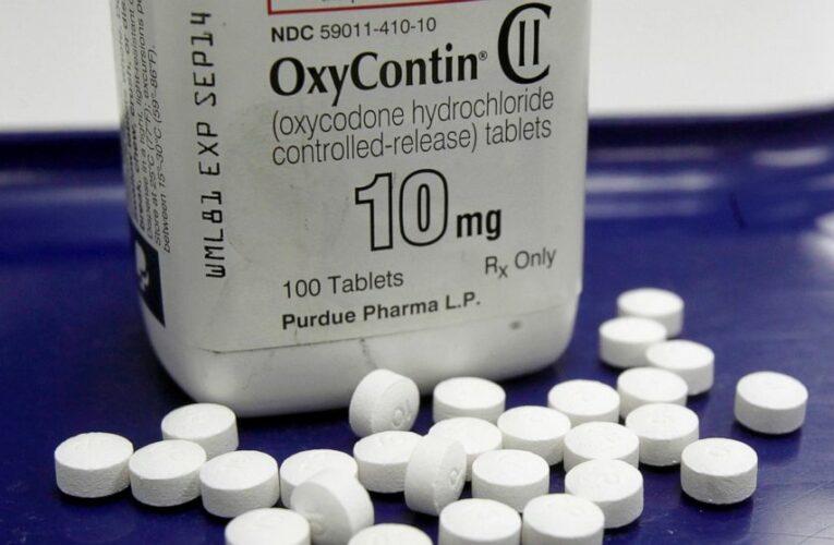 Use of OxyContin profits to fight opioids formally approved