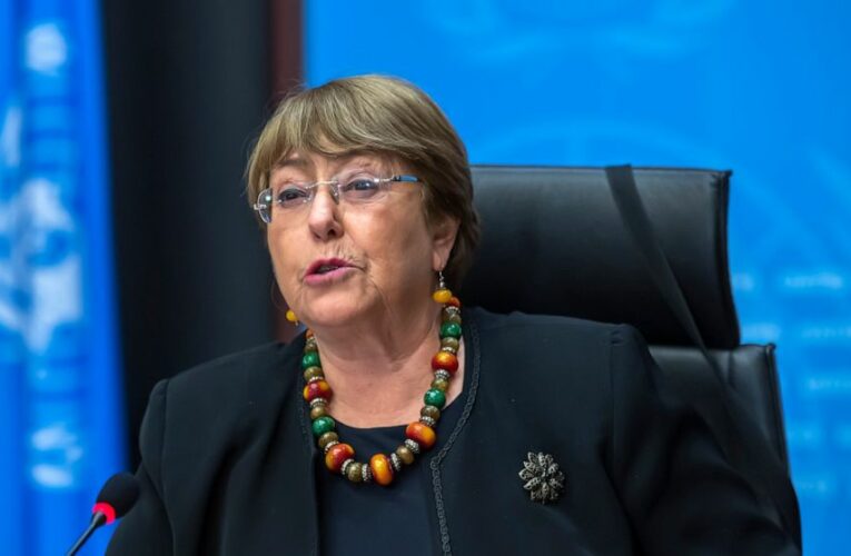 UN urges moratorium on use of AI that imperils human rights