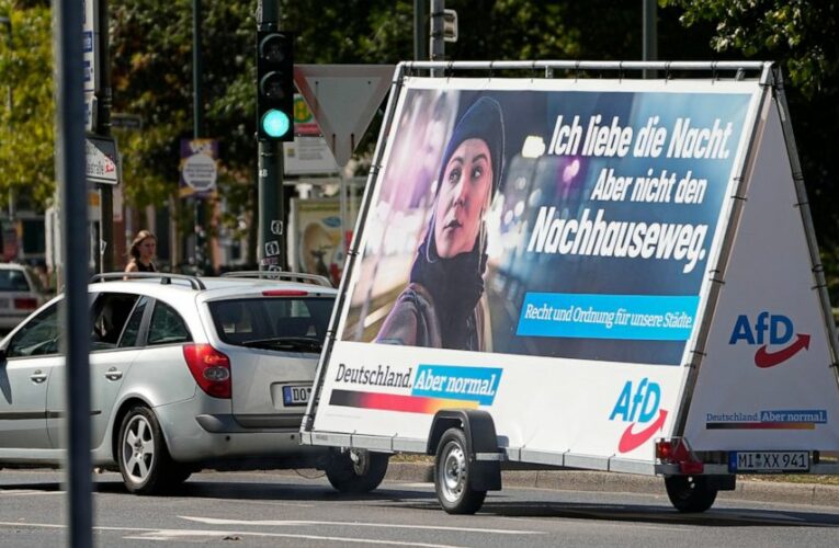 Sidelined by rivals, Germany’s far-right AfD bides time