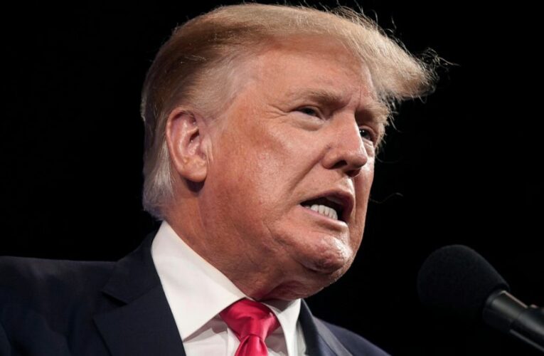 Trump sues niece, NY Times over records behind ’18 tax story
