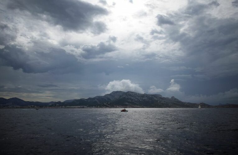 Report: More sharks, rays threatened with extinction