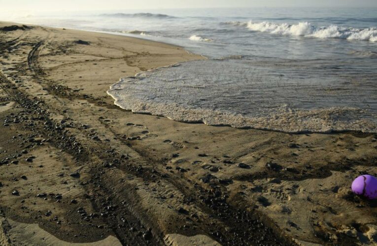 The spill — equal to about 126,000 gallons of post-production crude — caused dead birds and fish to wash up on Huntington Beach, officials say
