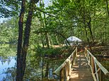 Relax and let nature unwind you at Into The Woods