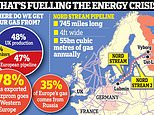 Paper boss warns it’s ‘very, very clear’ factories in ALL sectors could close amid energy crisis