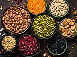 High intake of fatty acid in nuts, seeds and plant oils ‘linked to lower risk of death’&nbsp;