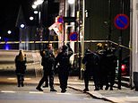 ‘At least four people killed’ as man goes on rampage with bow and arrow in Norwegian town&nbsp;
