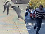 Horrifying moment NYC woman is yanked to the ground by her HAIR in random street attack
