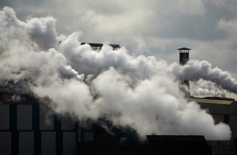 China and India among 22 nations calling for key section to be cut from COP26 agreement