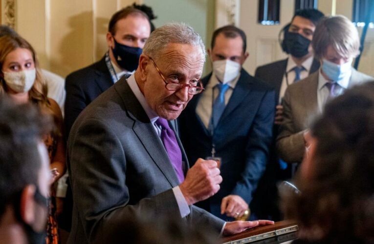 What the Democrats’ social spending plan might include