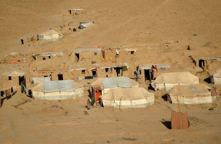 One day Parwana was playing with friends. The next she was sold to a stranger so her family could eat.