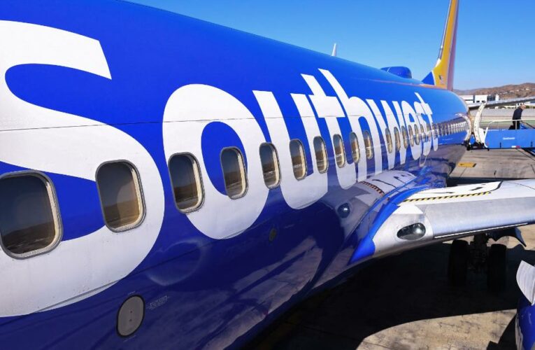 A female passenger assaulted the operations agent at a Dallas airport, the airline says, and that the passenger has been taken into custody
