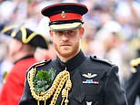 Prince Harry will not wear an army uniform when he gives out medals to armed forces