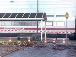 Knifeman wounds three in attack on high-speed German train