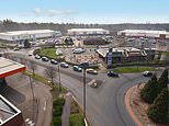Armed police grab gang of boys as young as SEVEN who threatened drivers with fake gun and knife