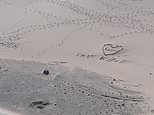 Scientists: British holidaymakers must STOP having sex with strangers on Gran Canaria’s sand dunes