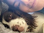 Family is ‘distraught’ as beloved spaniel dies after being terrified by Bonfire Night fireworks