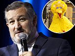 Ted Cruz hits out after Sesame Street icon Big Bird tweets his delight at getting COVID vaccine