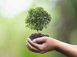 MARK SHAPLAND: Plan needed to end dependency on fossil fuels