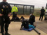 Deportation flight to Jamaica takes off with just FOUR out of original 51 offenders on board