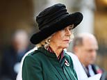 Britain will fall silent for war dead at Armistice Day services across the country