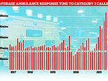 Record ambulance delays putting patients at risk, say hospital bosses