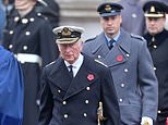 Queen will NOT go to Cenotaph for Remembrance Sunday