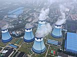Why is there lack of concern over burning coal, asks DAVID ROSE 