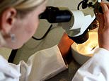Alzheimer’s research gives hope to patients as scientists suggest jab can reverse dementia in mice&nbsp;