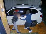 Driver tries to fight off masked carjackers as they steal his £85,000 BMW [VIDEO]