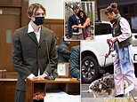 Helena Christensen’s model son appears in court after he was charged with punching woman in the face