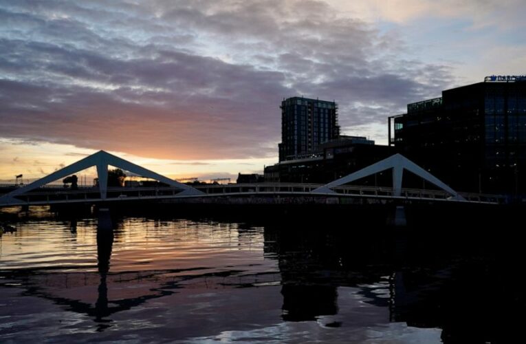 At COP26, over 100 countries pledge to end deforestation