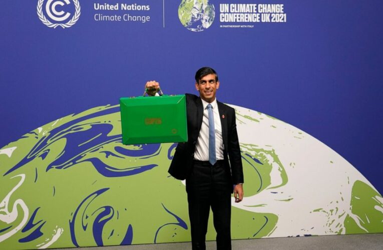 Investors bet big on climate fight but motives questioned