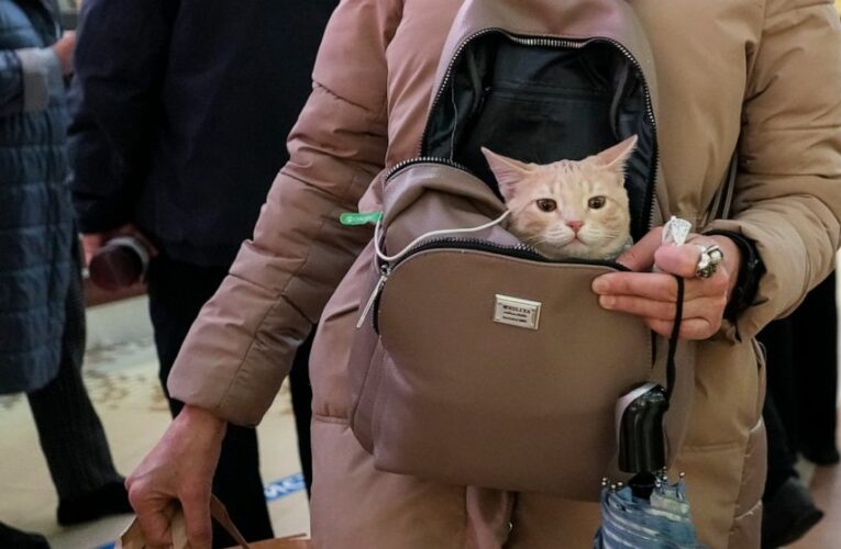 Russians go back to work but virus cases, deaths stay high