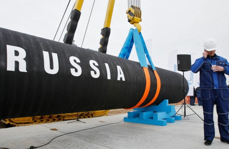 German agency suspends approval process for Russia pipeline