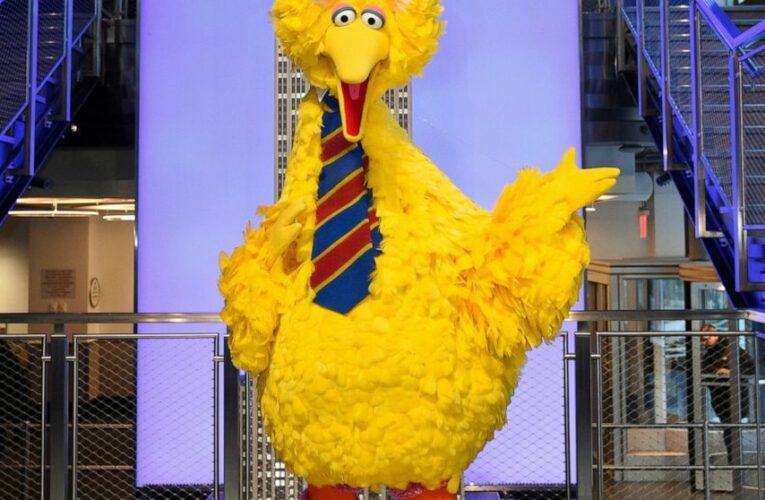 Big Bird backlash: Vax lands even Muppet in political flap