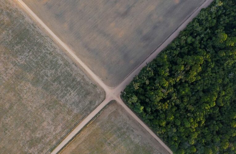 Brazil businesses lean on government to shift climate stance