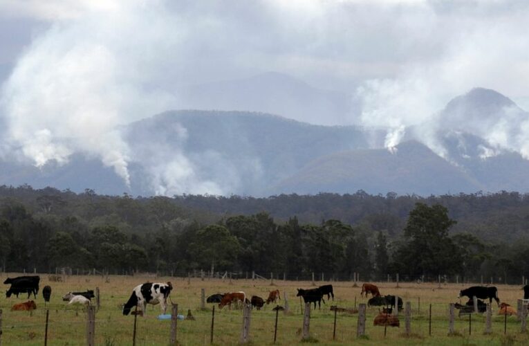 The Latest: UK sounding optimistic about UN climate progress