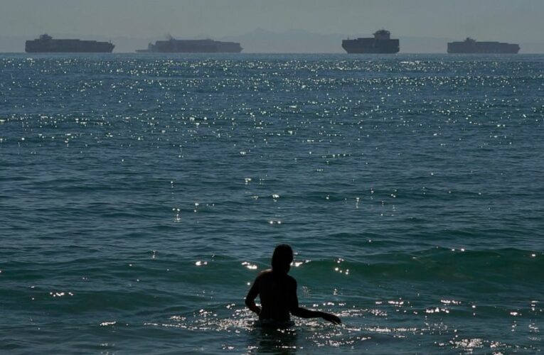 Supply chain delays delay shipments for California farmers