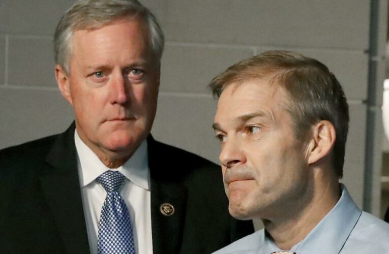 Jim Jordan sent one of the texts revealed by January 6 committee