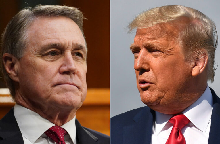 His recruitment of David Perdue to challenge Brian Kemp for governor is part of a broader effort to have loyal allies in powerful positions