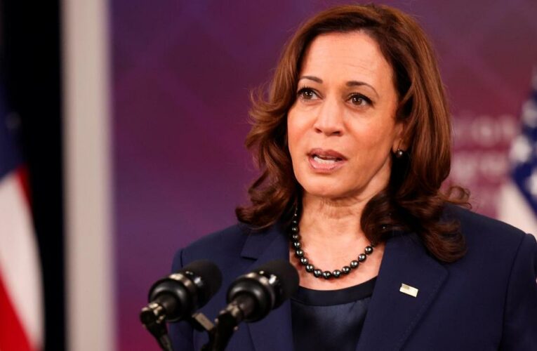 Harris says Biden administration ‘didn’t see’ Delta or Omicron coming